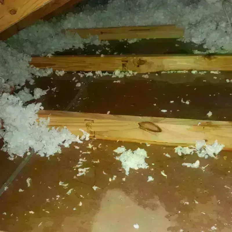 Attic Water Damage in San Luis Obispo, CA